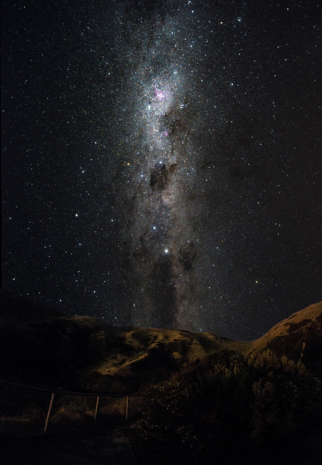 From the lookout above Paekakarfiki. Dark emu rising.